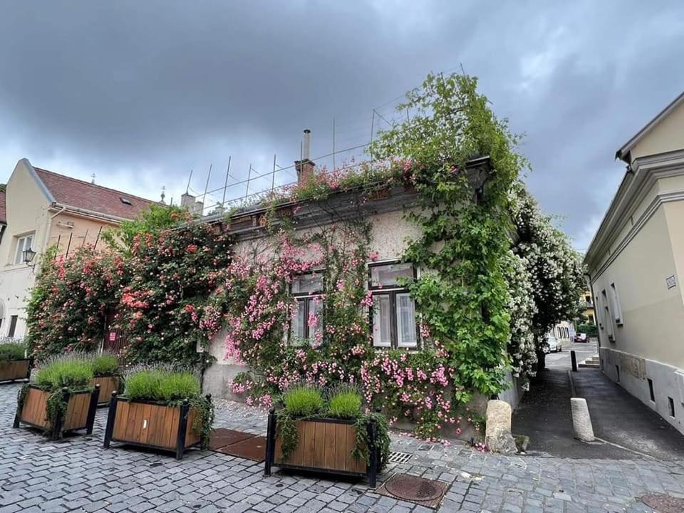 Downtown Romantic Székesfehérvár Exteriér fotografie